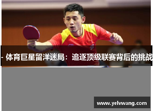 - 体育巨星留洋迷局：追逐顶级联赛背后的挑战