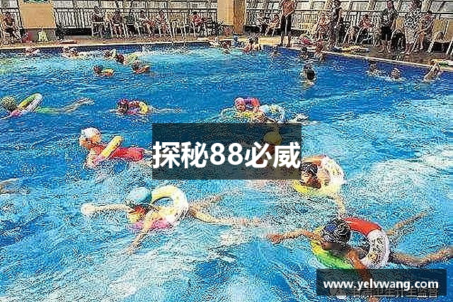 探秘88必威
